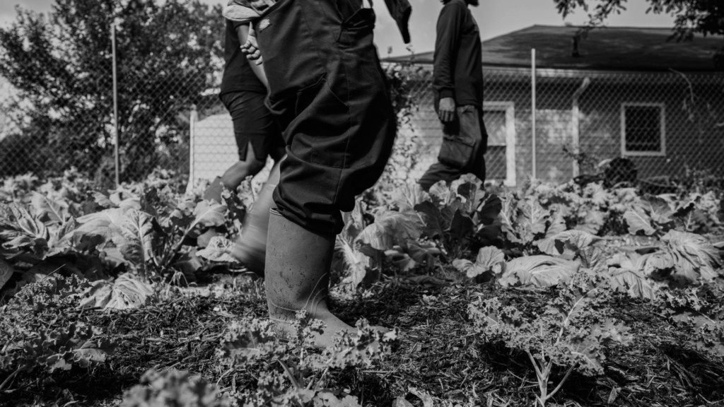 A black and white image of someone's boots on a farm. Two other people are standing in the background. In the foreground is kale.